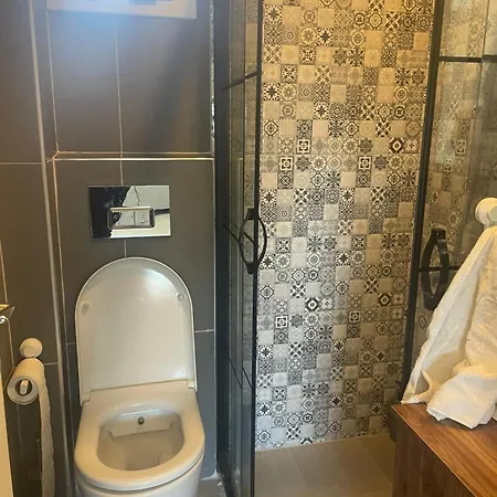 Ecological House מלון *
